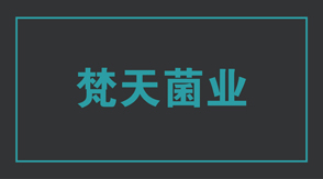 食品行业扬州广陵区工作服设计款式